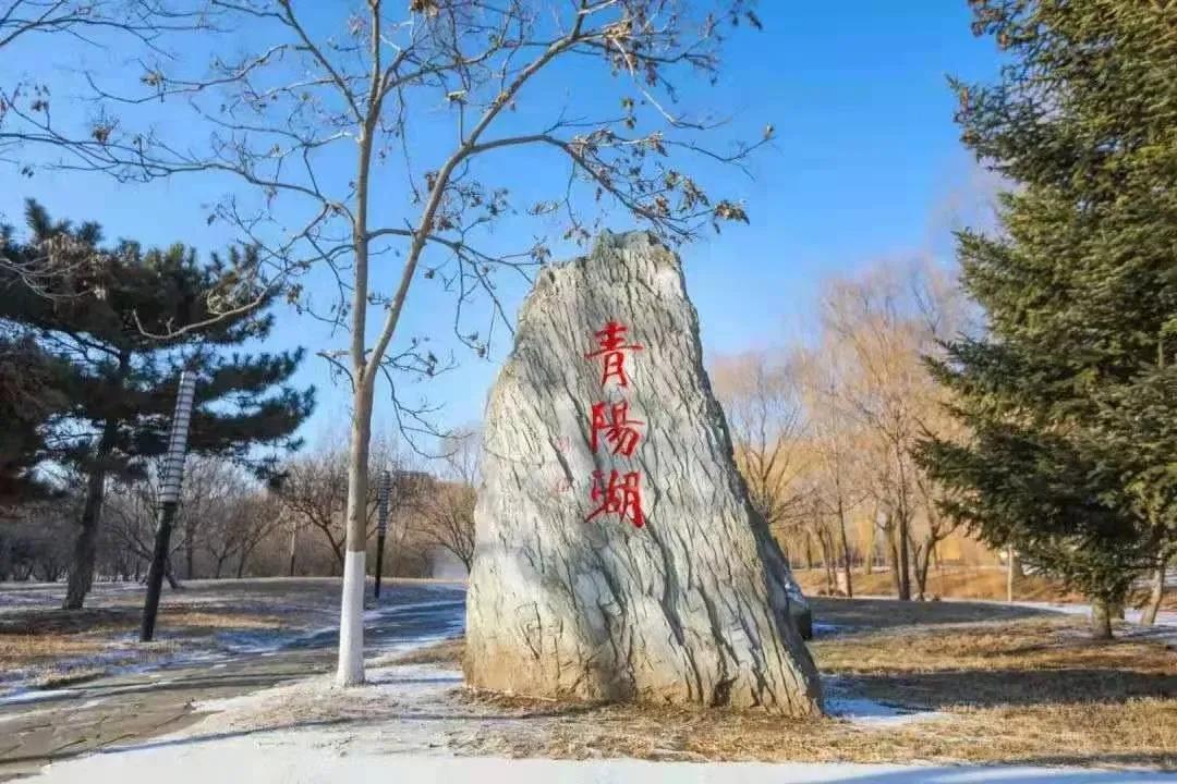 沈阳航空航天大学在辽宁省的地位,辽宁省沈阳航空航天大学在哪个区