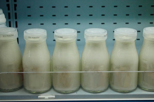 牛奶是补脑还是健脑,牛奶好喝又补钙但有5类人可别喝