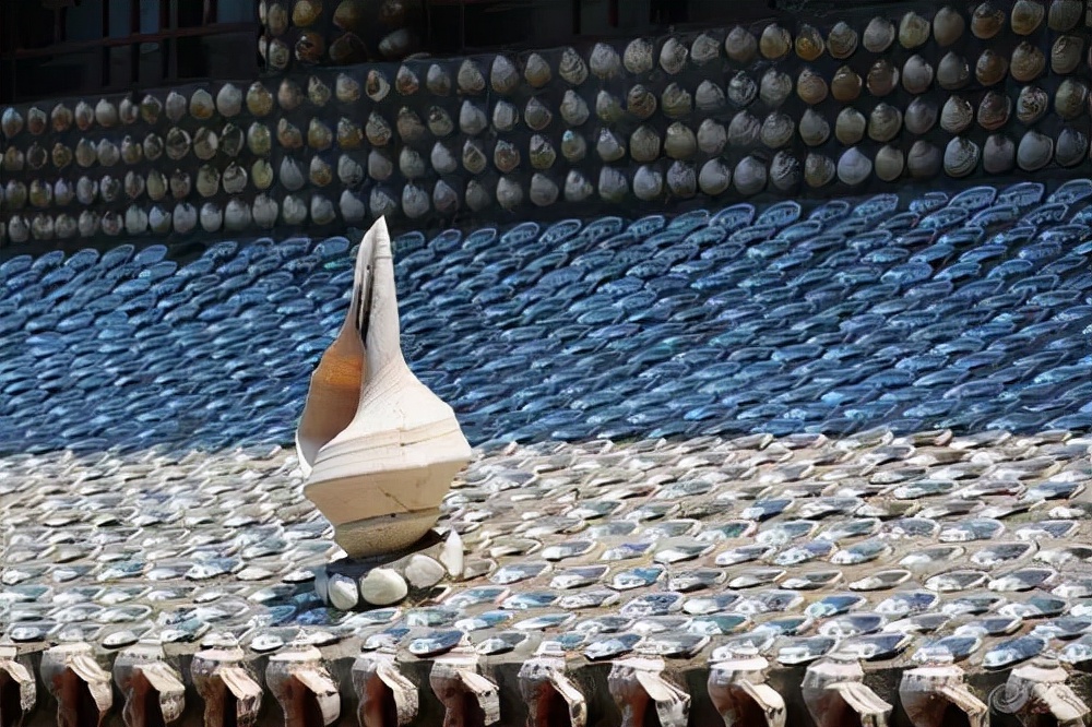 世界第一贝壳造房,中国第一贝壳楼