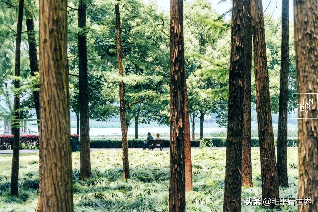 要想真正了解武汉，必须先了解汉阳