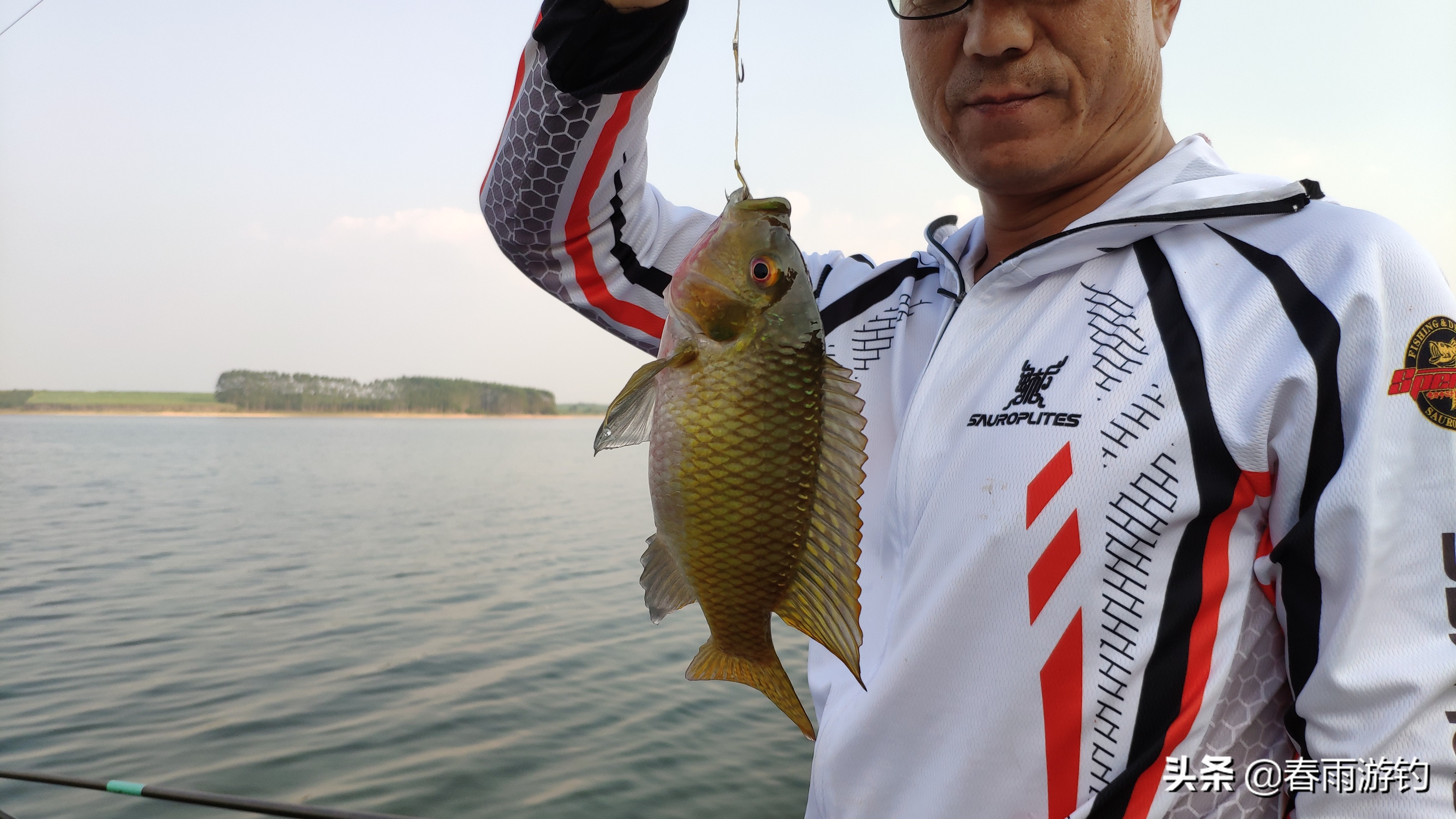 邕江小罗非闹窝,北海清水江钓罗非