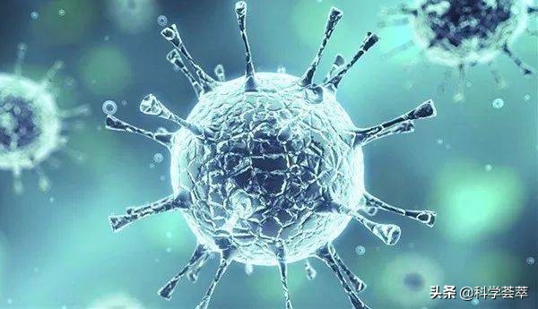 风力发电的对生态的危害,风力发电污染环境的危害