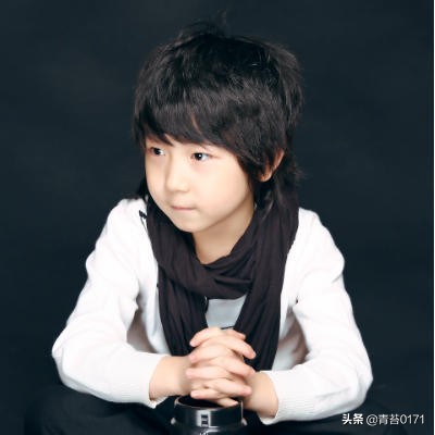 河北11市明星大全,河北各市明星分布图