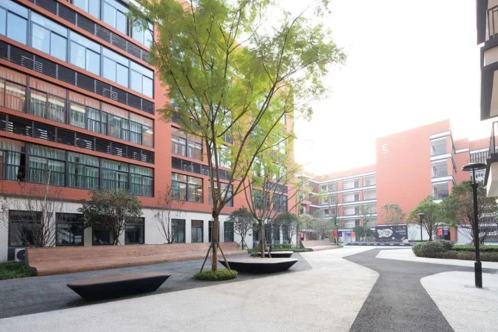 重庆华东师范大学附属中学好不好,重庆华东师大附属中旭学校如何