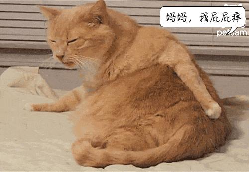 2个娃身上突然多处淤青，到底是谁虐的？