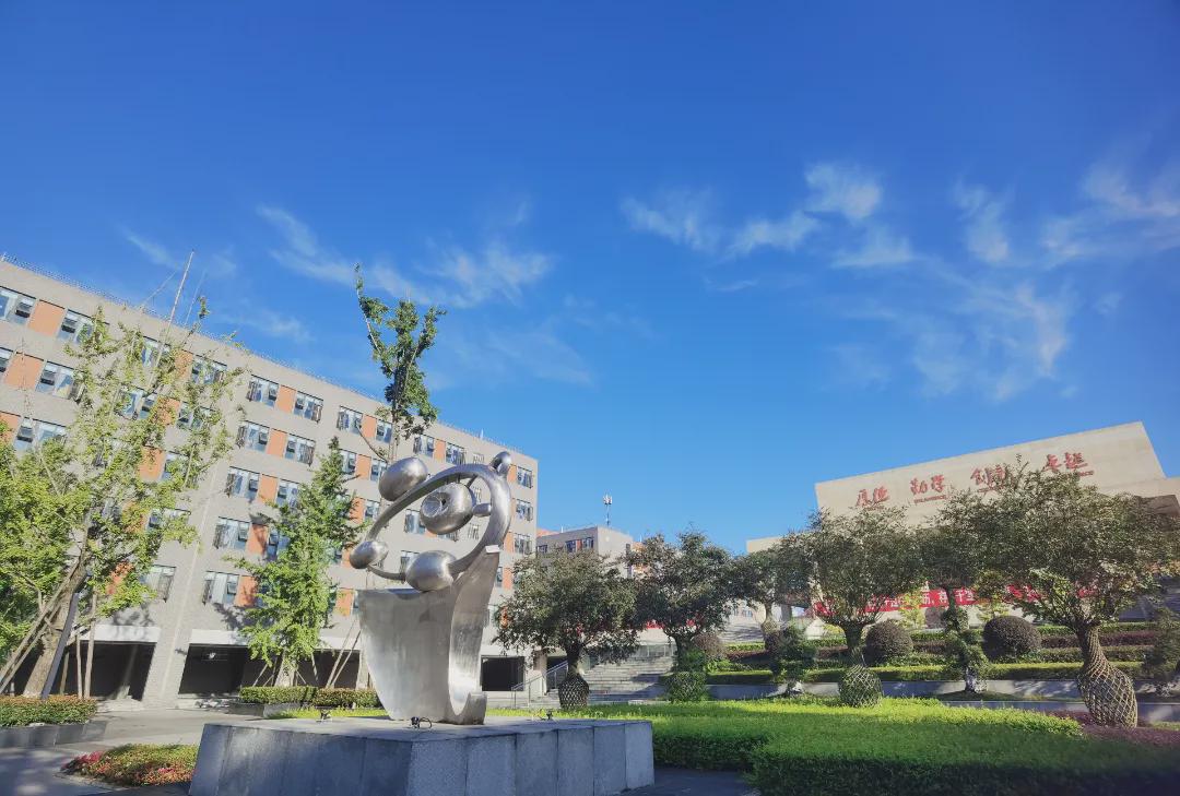 成都外国语实验学校新津校区招聘,成都市实验外国语学校容易应聘吗