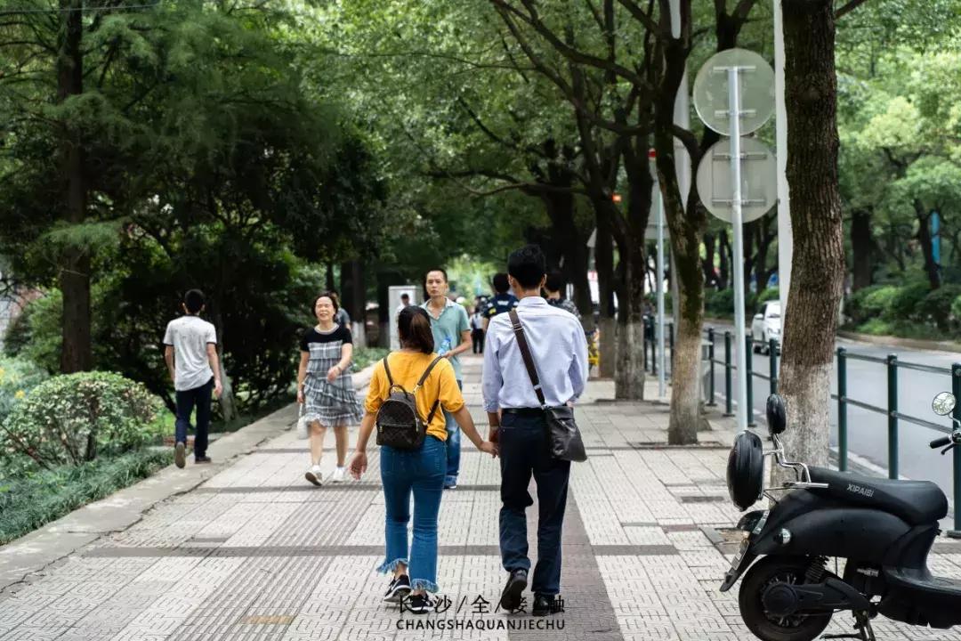 长沙最青春公交，串联6所大学的记忆