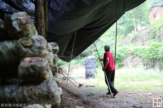 深山老两口5年还18万欠款，大妈每天抱着儿子遗像哭