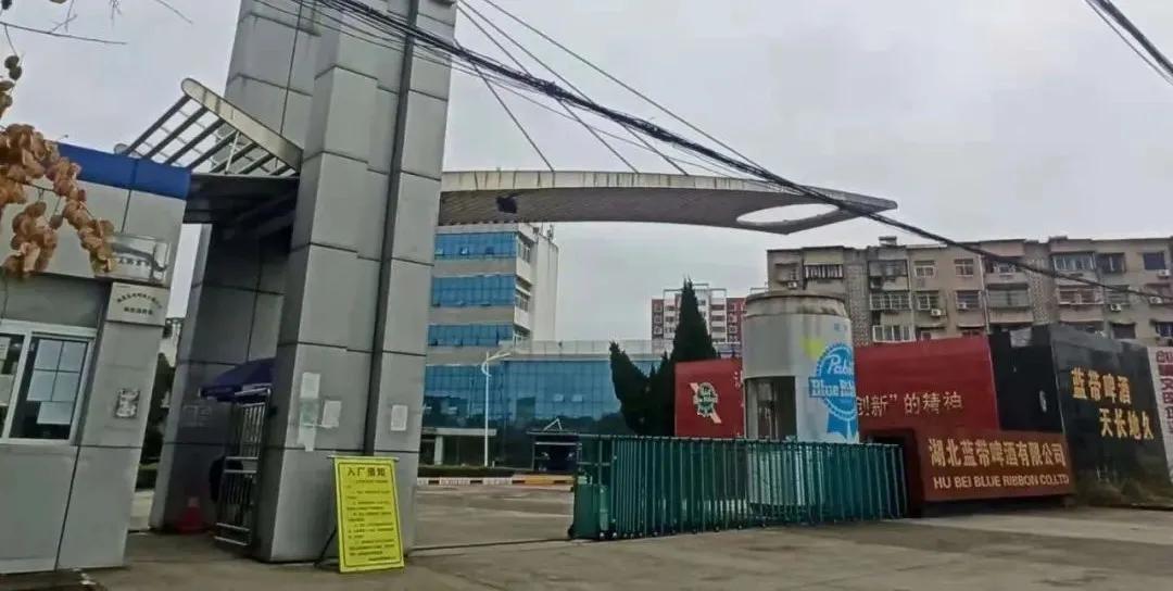 蓝带啤酒销售有限公司招聘,湖北蓝带啤酒有限公司