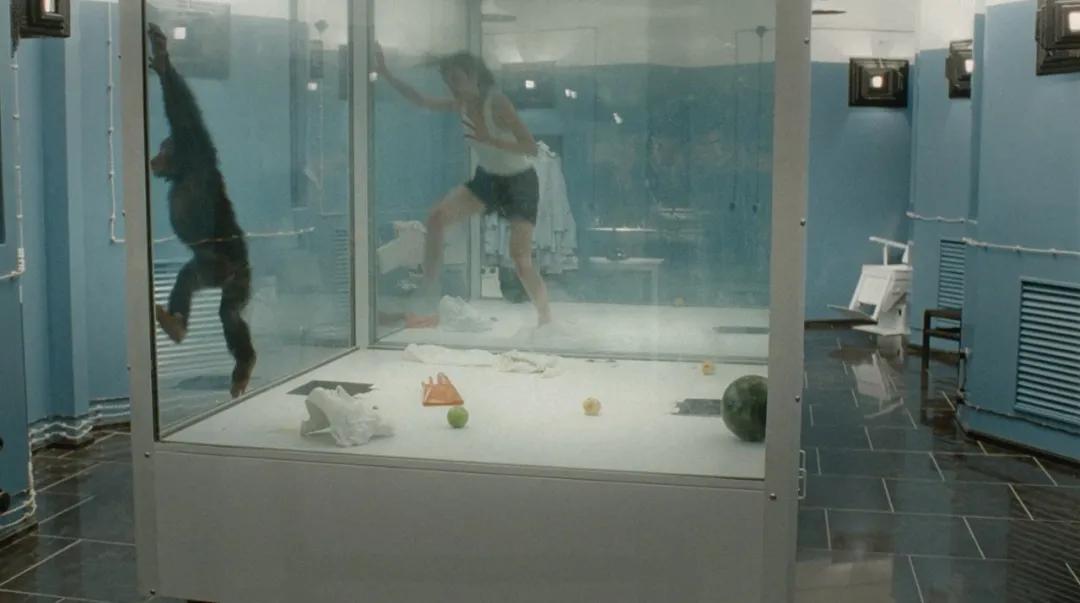 我们在柏林，看了9个小时震撼世界的DAU