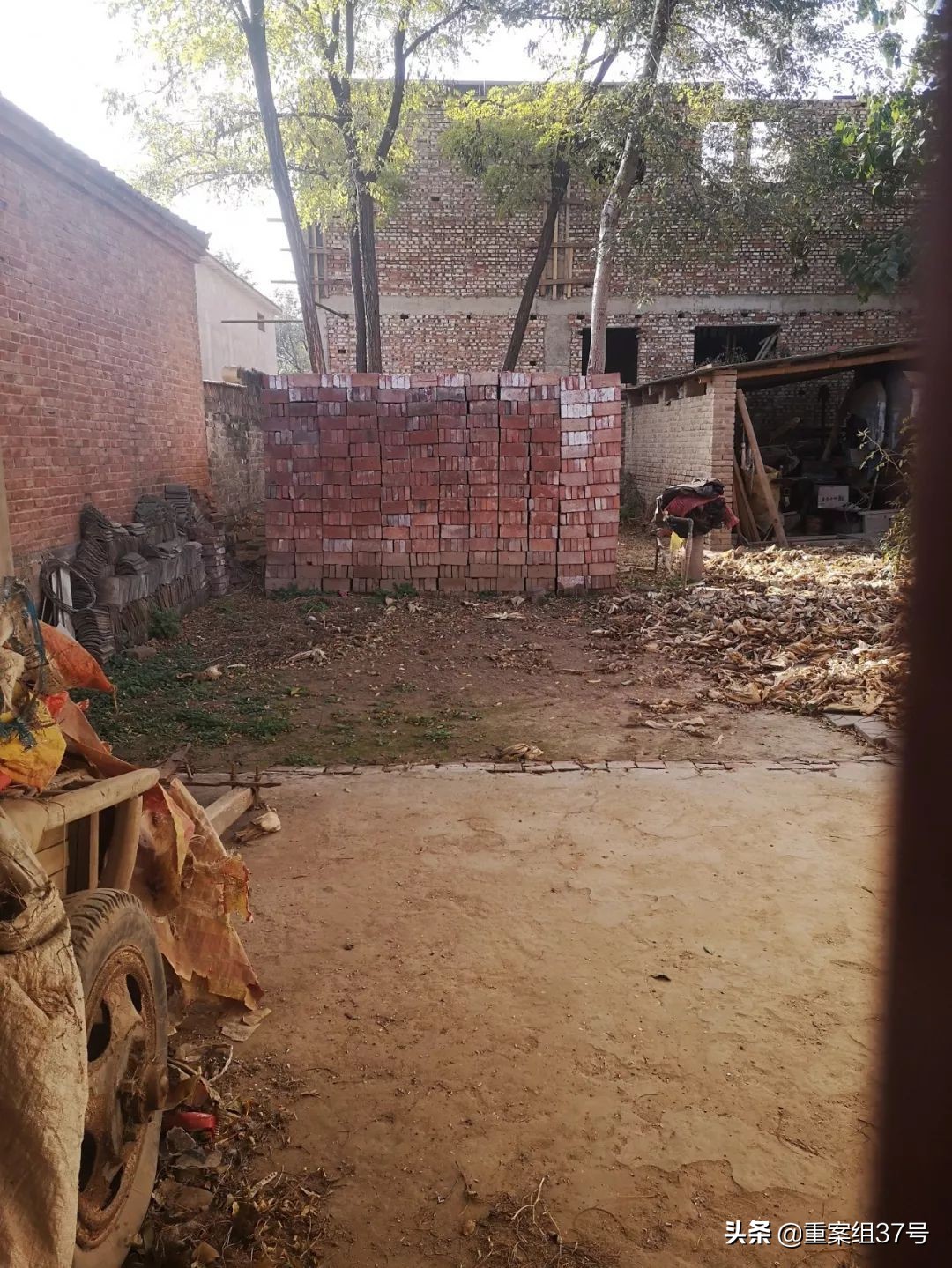 长沙9岁男孩遇害事件,长沙9岁男童遇害