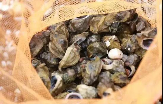 春季金石滩旅游,五一金滩旅游攻略