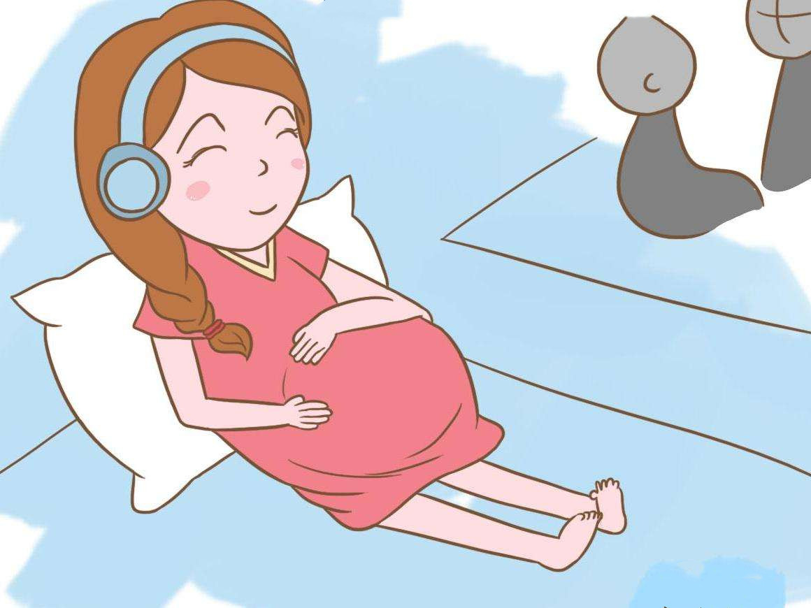 成功怀孕的条件,怀孕的必备条件