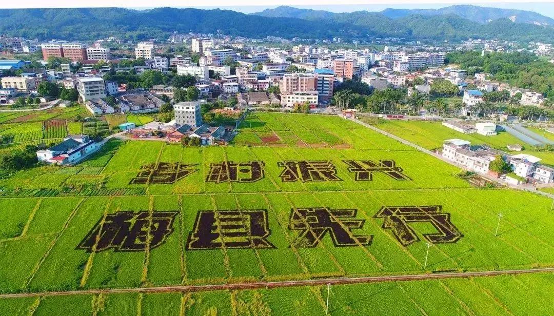 涓栫晫瀹㈤兘闀垮涔嬩埂姊呭窞,涓栫晫瀹㈤兘涓浗姊呭窞