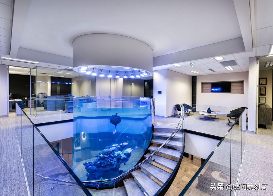 30种常见热带观赏鱼图片大全,十大你肯定没养过的热带观赏鱼