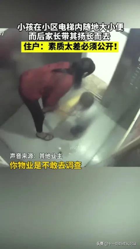 黄磊：随地大小便不是脏不脏的问题，影响孩子身心健康