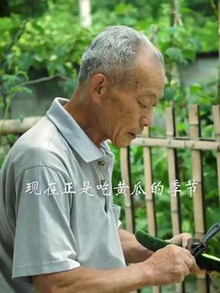 藏族小伙丁真因什么火了,藏族少年丁真走红原因