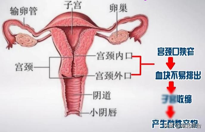 经常痛经该吃什么药调节,痛经有血块怎么去缓解
