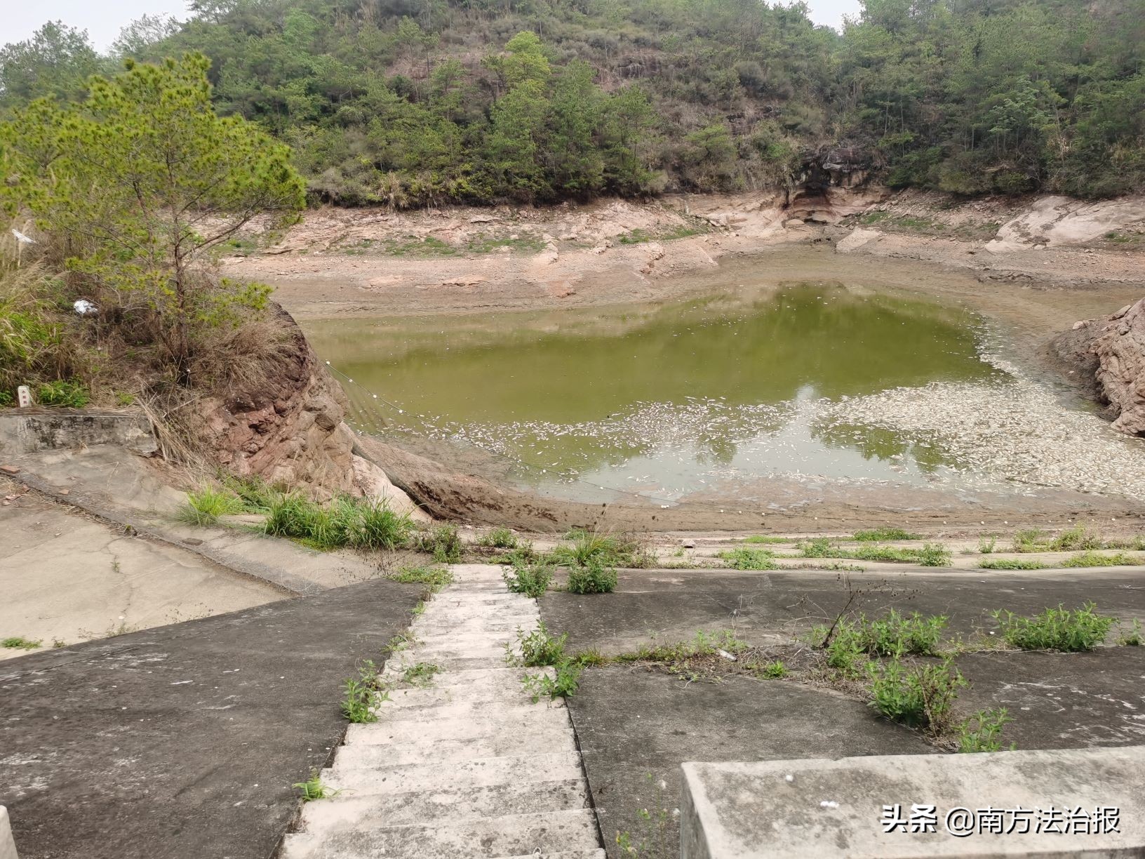 捕鱼达人有人被坑走20万,捕鱼高手户外捕鱼鱼获满满