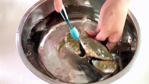 九月份的螃蟹怎么吃好吃,这个季节的螃蟹个个肥美好吃