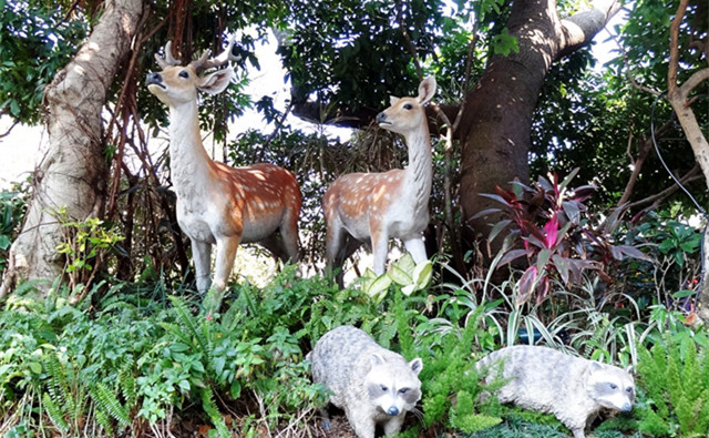 香港旅游亲子哪里玩,香港亲子游最佳攻略