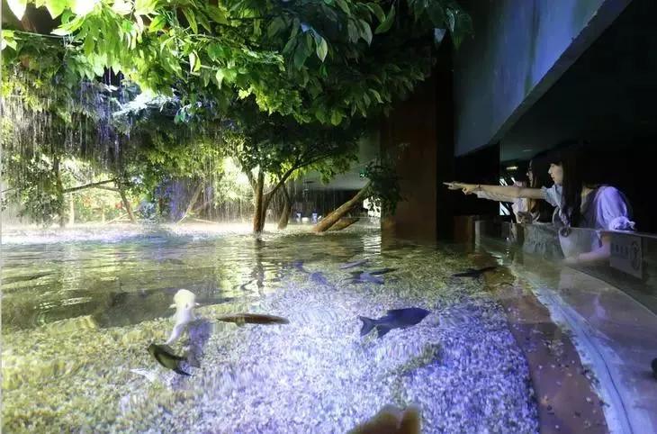 成都海洋馆浩海立方奇幻之旅,成都浩海海洋立方馆和海洋世界