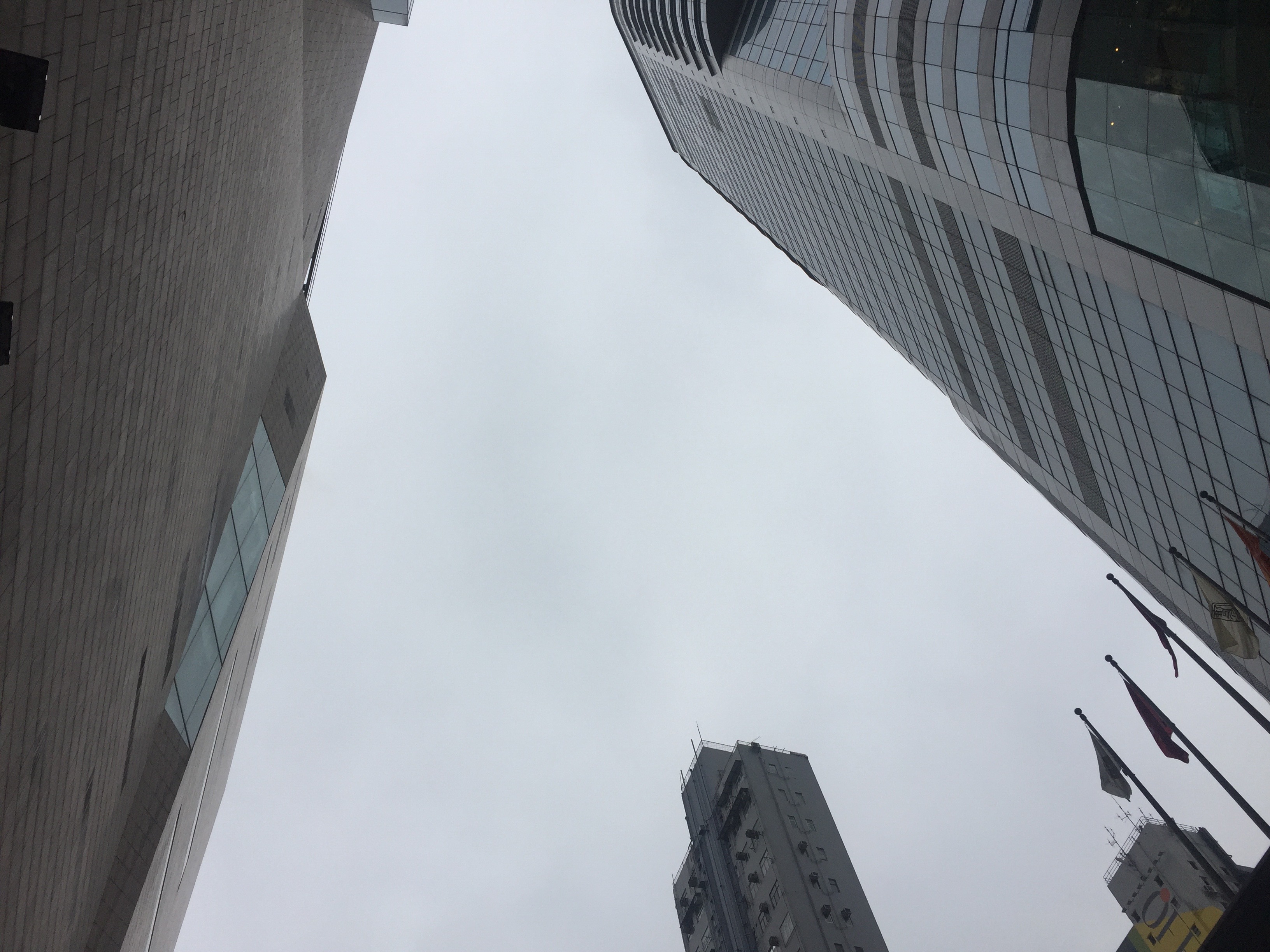 第一次去香港你一定要知道这些,半年没去过香港的感受