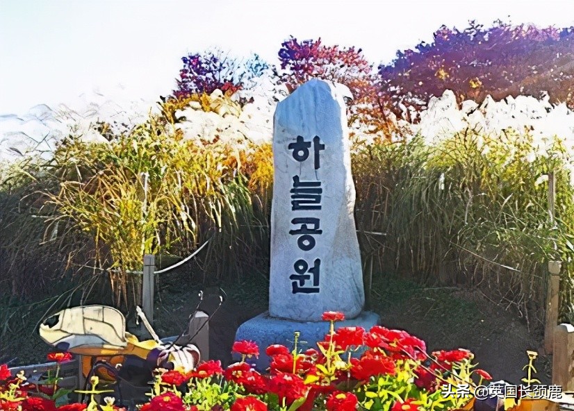 各国父亲节,各国父亲节庆祝方式