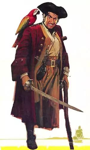 非得戳瞎一只眼睛才能当海盗吗？