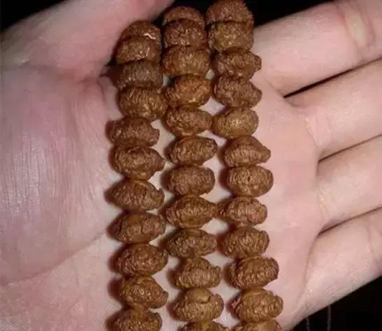 所有菩提手串大展示,菩提手串大全视频