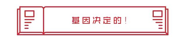 男性的胸部到底有什么用？又不能喂奶！可以丰胸吗？