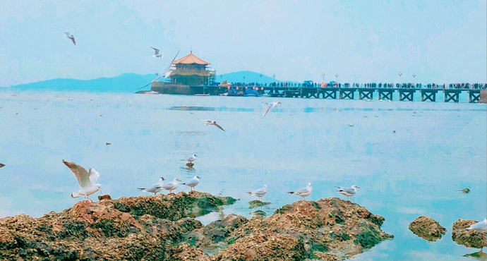 为什么青岛夏天不热,夏天青岛热吗