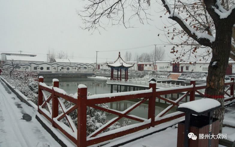 为什么要留在城市,为什么要留在家乡