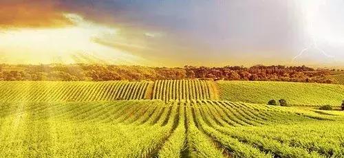 佳人佳酿两相逢，胜却人间无数