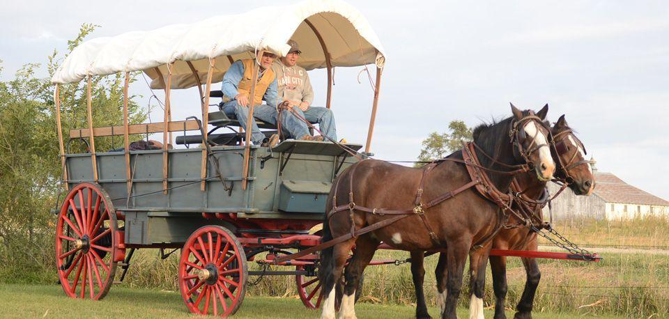 用钱换“屁股”，买旅行车到底图个啥？