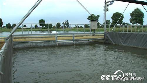 张高立：会跑步的鱼让他一年卖了6000万