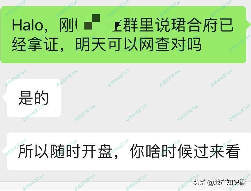 “鸽王”老黄埔终于要上新了！你还在等吗？