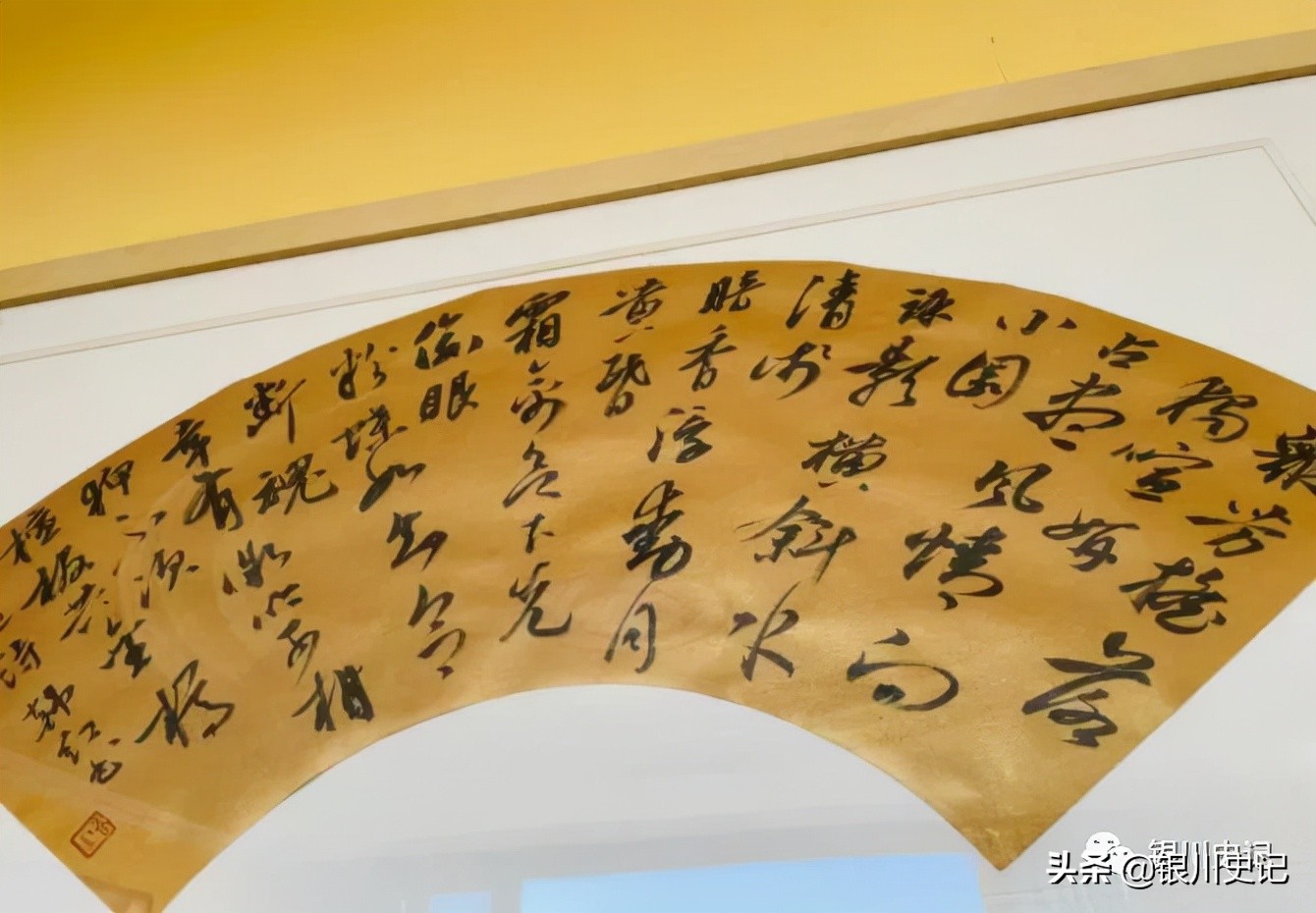 杨燕：我的书房为啥叫“晤园”