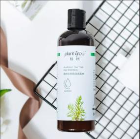 头发蓬松茶树油洗发水,油头救星澳洲茶树洗发水