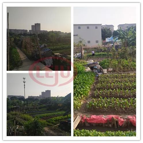 已有房企介入番禺胜石村旧改要*地征**建亚洲最大体育馆？