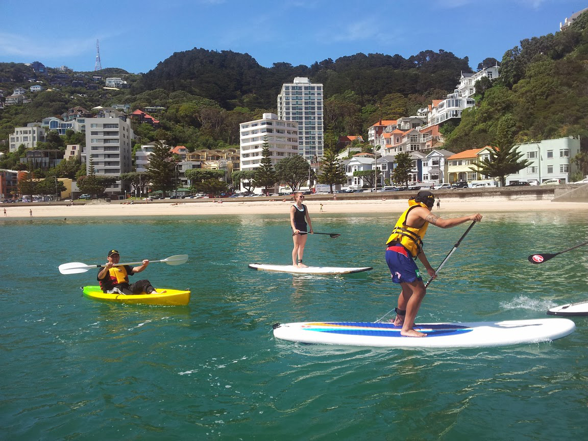 新西兰移民最简单的方式,新西兰移民有几种方式