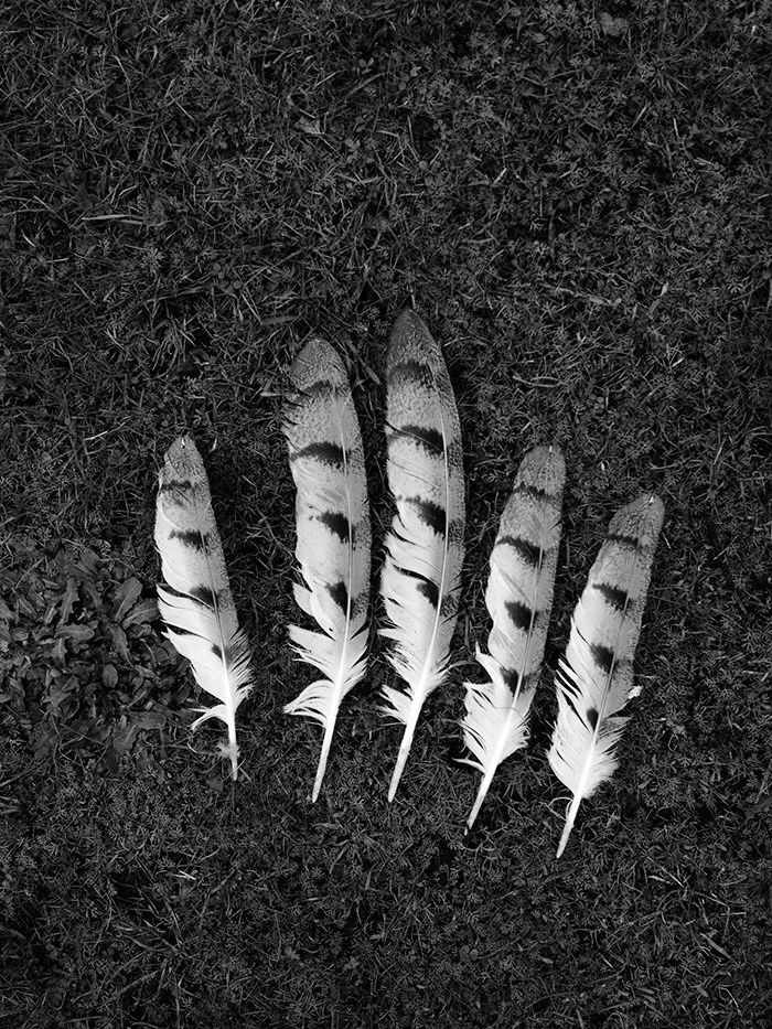 摄影小白适合拍什么,摄影小白拍人像用什么好