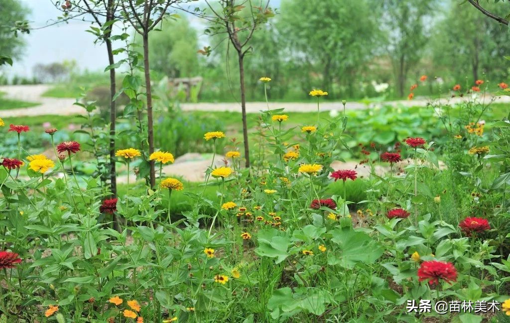 「创意水粉教案」公园里的一抹绿