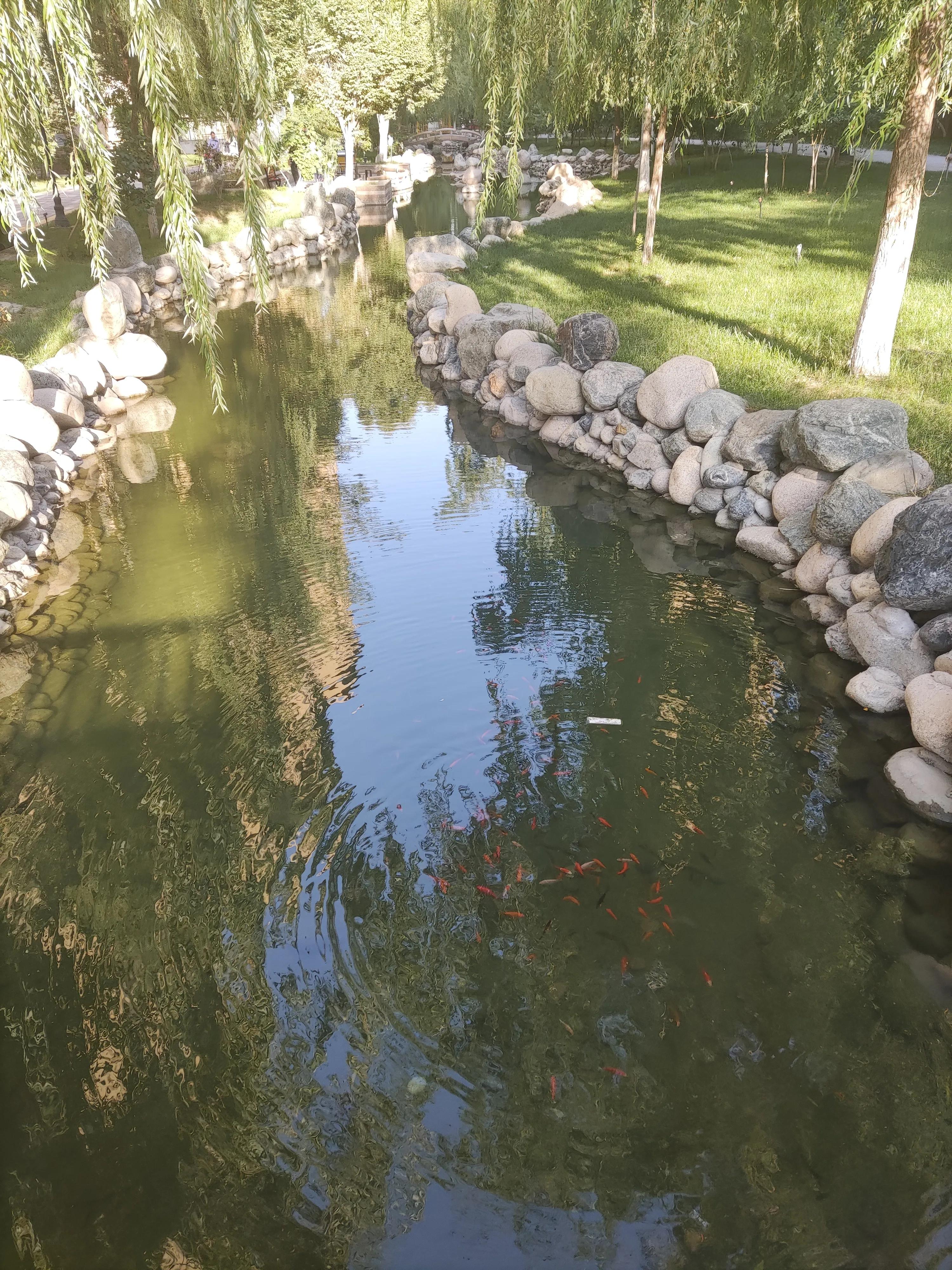 乌鲁木齐绿化最好楼盘,乌鲁木齐市绿化最好的街道视频