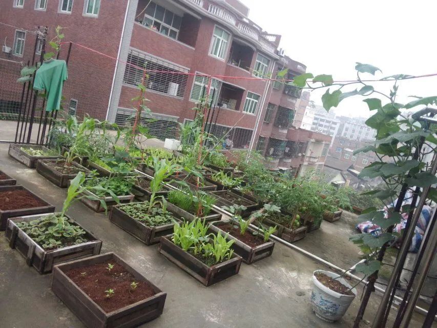 怎么测试花土ph值,怎么测花土的酸碱度