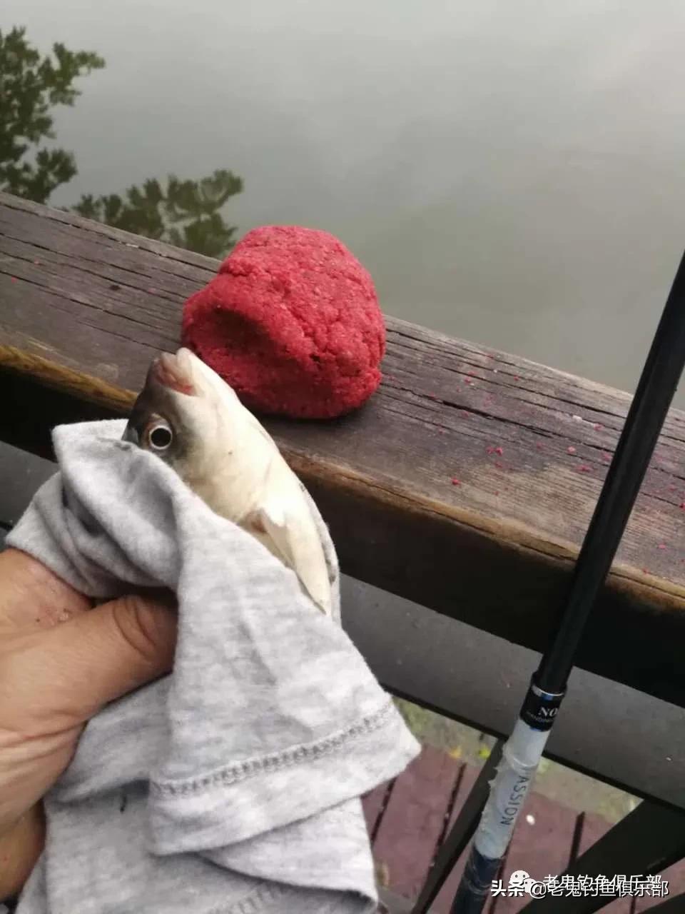 下了班去月湖解毒，速战速决