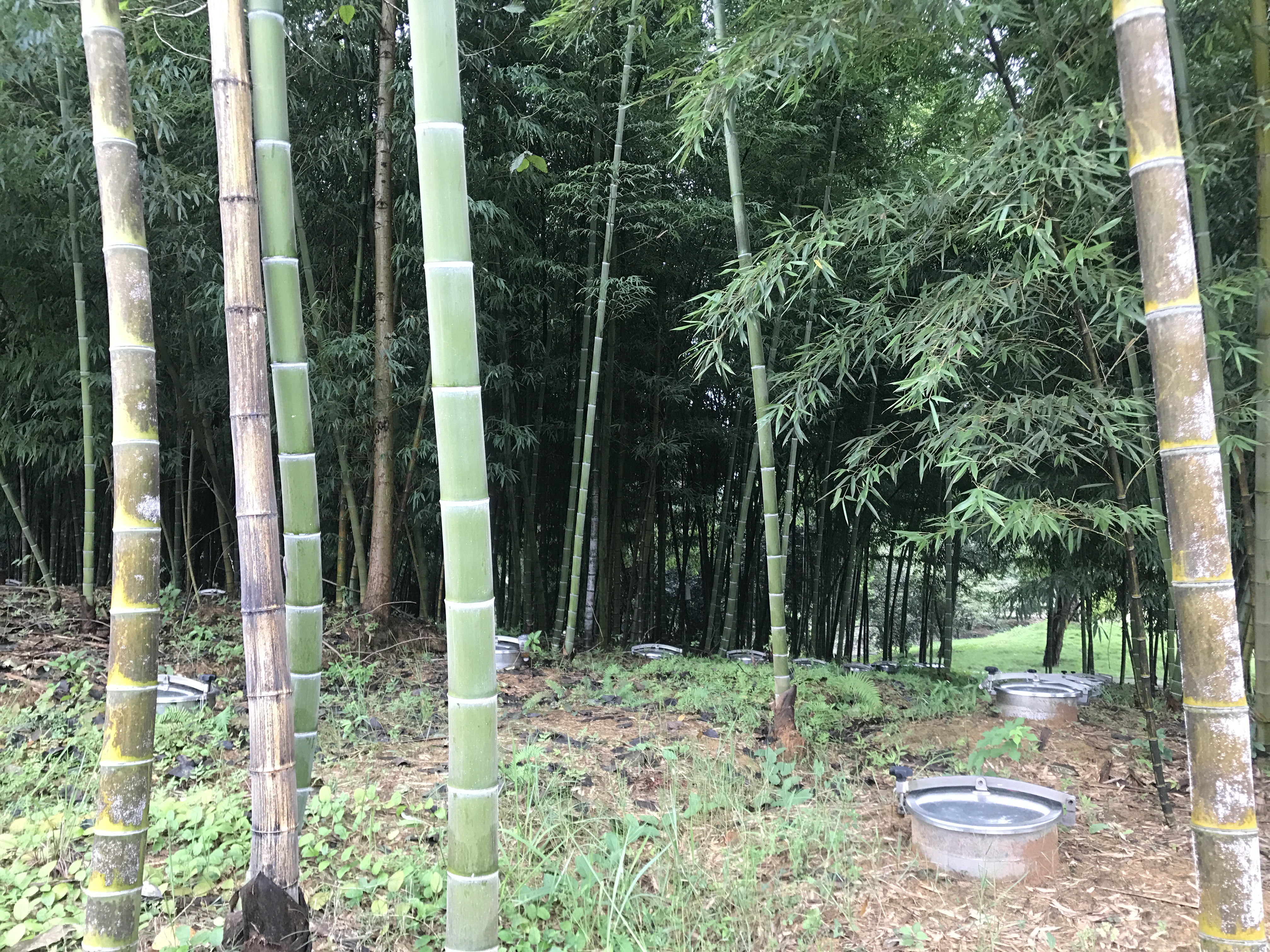 探秘寻访之旅古川酒庄：品一盏淡雅，销万古情愁