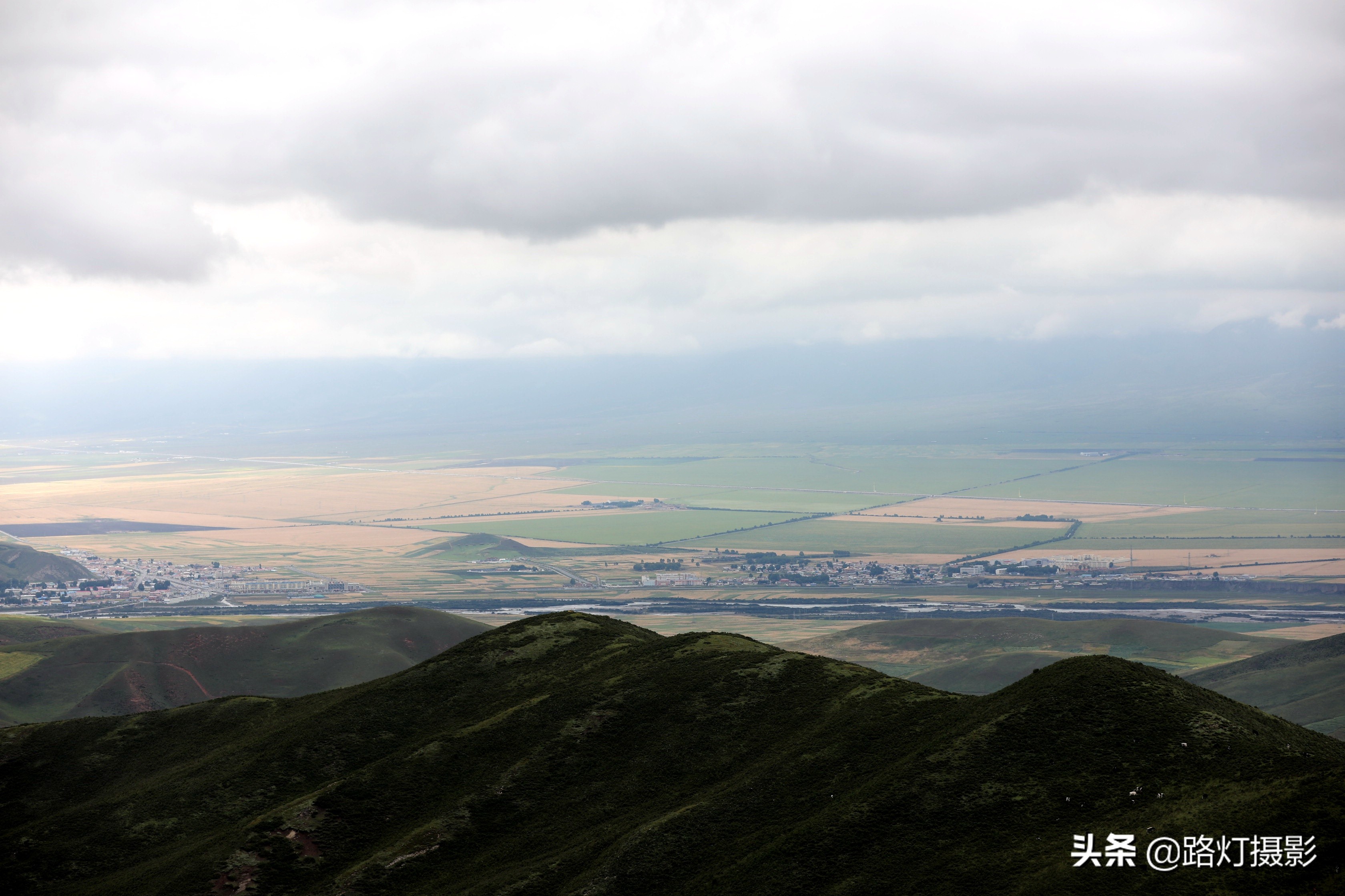 草原美丽的花海风景视频,青海花海旅游景区