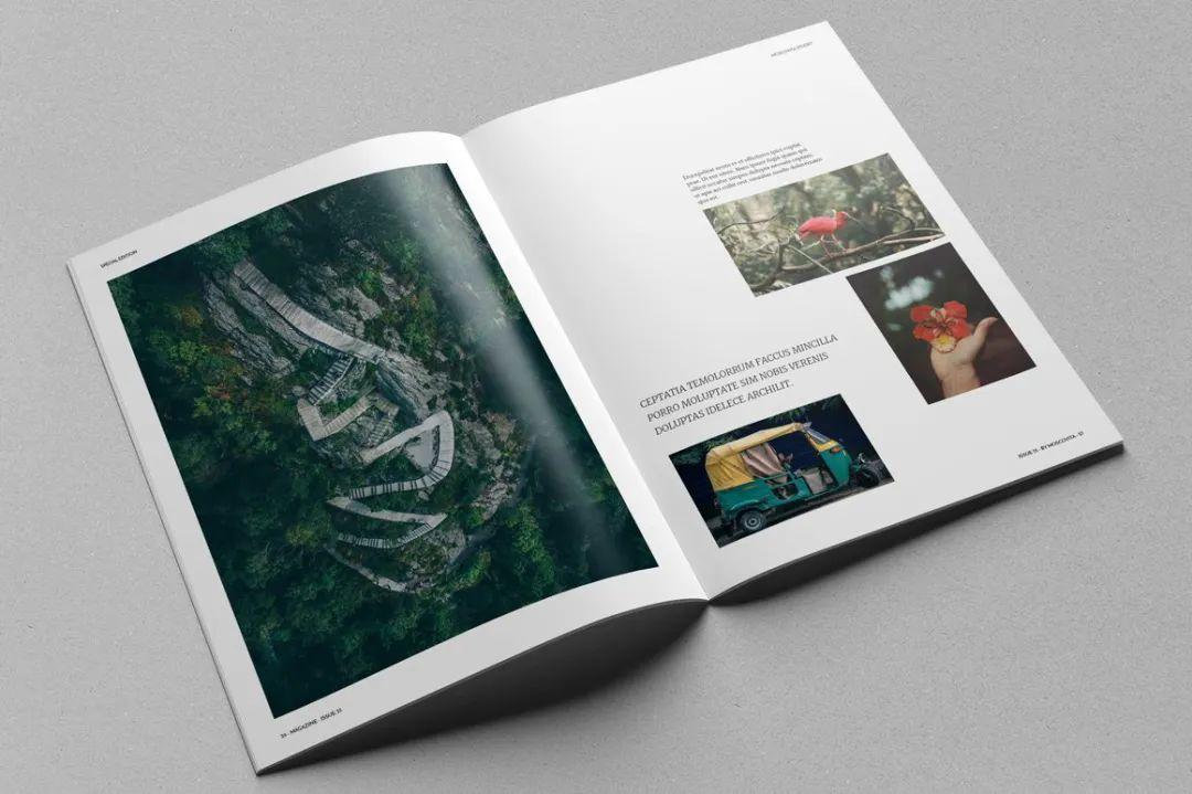 画册怎么做成电子书,电子画册怎么制作短视频