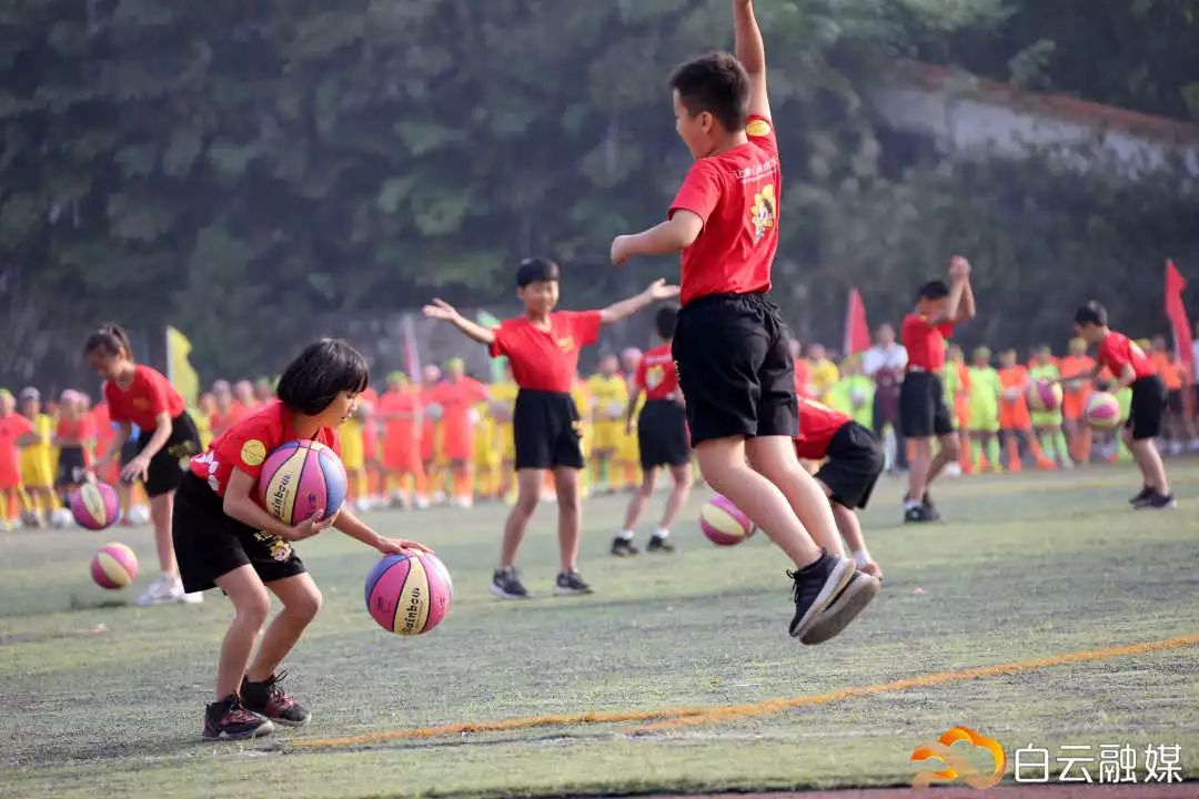 横栏小学校园田径运动会,2019白云区中小学生田径运动会